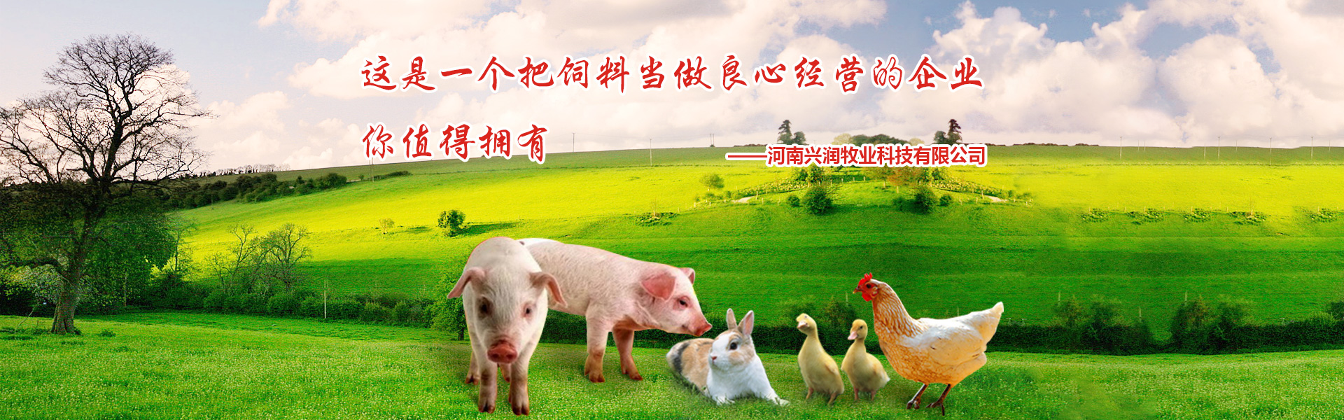 河南猪饲料厂家,猪饲料厂家,河南猪饲料