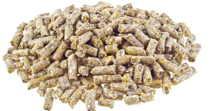 南阳正大康地提醒你非常规饲料原料在猪饲料中的应用