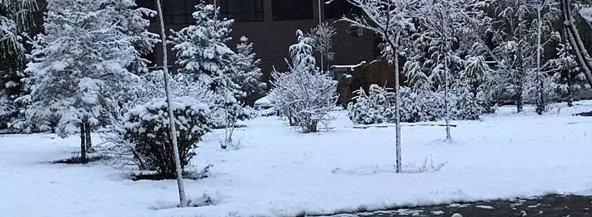 南阳正大康地饲料有限公司提醒你养殖场怎么防寒? 南阳正大康地饲料有限公司提醒你养殖场怎么防寒?