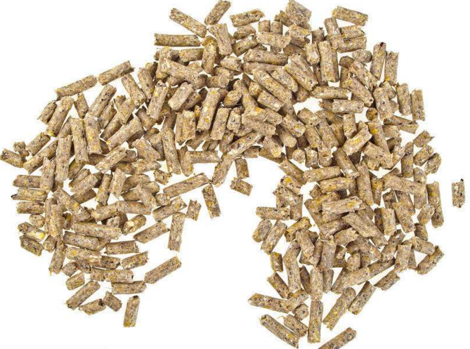 不同饲料到底该怎么喂?南阳正大康地饲料有限公司告诉你 不同饲料到底该怎么喂?南阳正大康地饲料有限公司告诉你